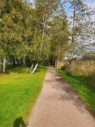 Afternoon walk with Aki