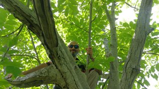 My Actifit Report Card: May 23 2025