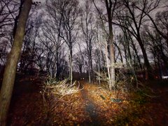 My Actifit Report Card: March 26 2026