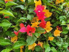 My Actifit Report Card: April 14 2026