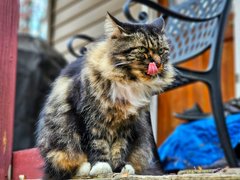 My Actifit Report Card: November 23 2025