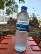 My Actifit Report Card: March 27 2025