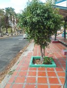 My Actifict report:  march 19 2026 - A Special Day / Un Dia Especial