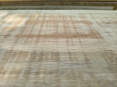 Getting it done. My Actifit diary: April 1 2026