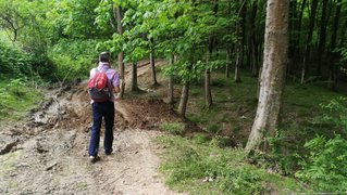 My Actifit Report Card: April 26 2025