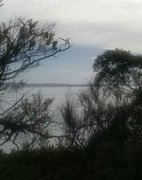 Trestle bridge dsy between Cowes and Wonthaggi : March 15 2026