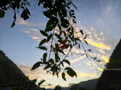 Chill over steps. My Actifit diary: April 2 2026