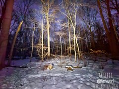 My Actifit Report Card: February 12 2026