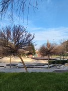 My Actifit Report Card: March 25 2026