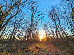 My Actifit Report Card: April 7 2026