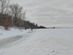 My Actifit Report Card of January 8, 2026: Daily Routine