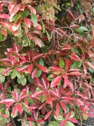 My Actifit Report Card: April 13 2026