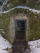 My Actifit Report Card: February 3 2026