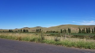 Orchids galore near Captains Flat and Mangarlowe : March 23 2026