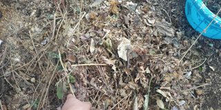 My Actifit Report Card: February 13 2024