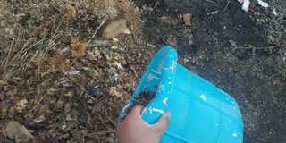 My Actifit Report Card: February 13 2024