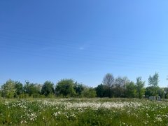 My Actifit Report Card: aprile 13 2026