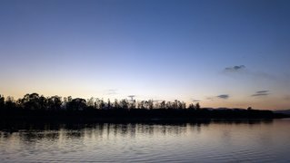 My Actifit Report Card: March 21 2026