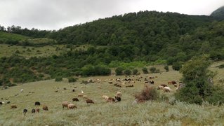 My Actifit Report Card: June 4 2025