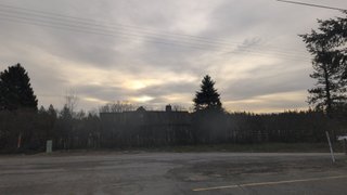 My Actifit Report Card: March 20 2026