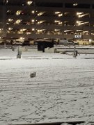 My Actifit Report Card: February 2 2026