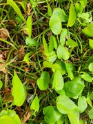 My Actifit Report Card: March 25 2026