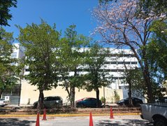 My Actifit Report Card: March 17 2026