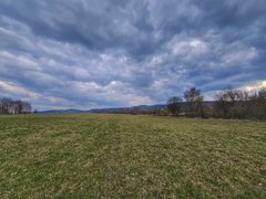 [EN/CZ] My Actifit Report Card: March 22 2026