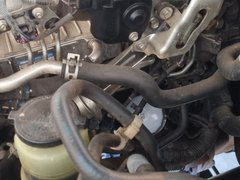 My Actifit Report Card: August 26 2025