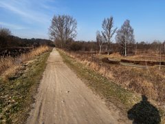 Busy day. My Actifit Report Card: March 23 2026