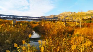 The Last Call... My Actifit Report Card: December 12 2020