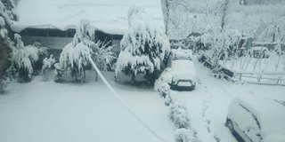 season's first snowfall...My Actifit Report Card: February 1 2024