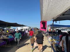 2 GT BMX frames - My Actifit Report Card: April 13 2025