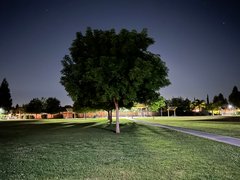 Dawn Steps - My Actifit Report Card: May 7 2025