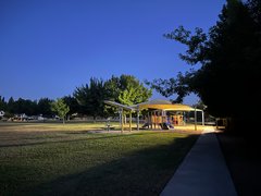 DiamondBack Viper - My Actifit Report Card: June 5 2025