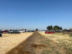 Pro Thunder - My Actifit Report Card: June 8 2025