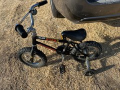 Little Tiger - My Actifit Report Card: June 26 2025