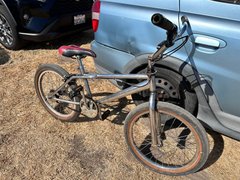 freestyle - My Actifit Report Card: August 23 2024