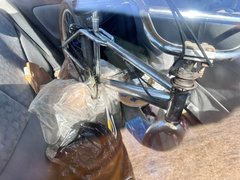 freestyle - My Actifit Report Card: August 23 2024