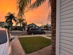 Rain before the new Huffy BMX build - My Actifit Report Card: October 16 2024