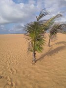 Sunday Outside Adventure: October 20 2024