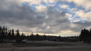 My Actifit Report Card: March 6 2026