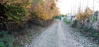 My Actifit Report Card: December 14 2025