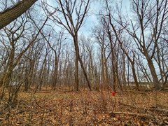 My Actifit Report Card: March 22 2026