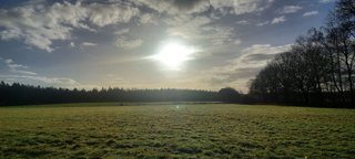 Tough but fun! - My Actifit Report Card: December 30 2025