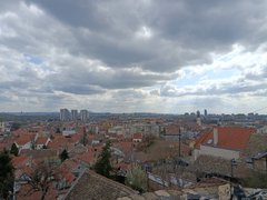 My Actifit Report Card: March 22 2026