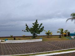 My Actifit Report Card: March 25 2026