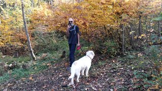 My Actifit Report Card: December 12 2025