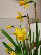 My Actifit Report Card: March 17 2026