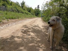 My Actifit Report Card: April 10 2025